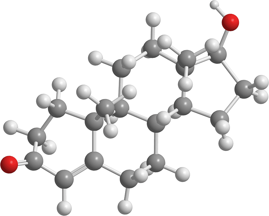 molécule de testostérone